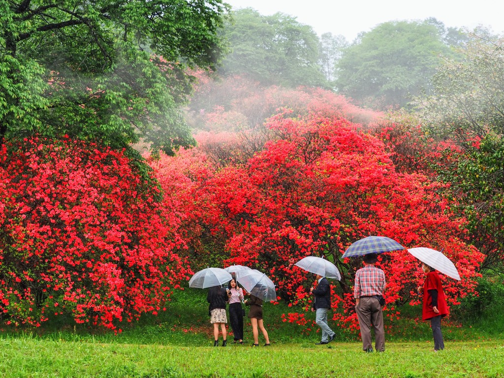 小雨の中で