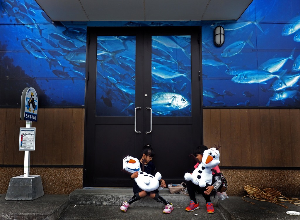 魚の町