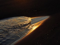 光る波打ち際