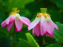 終演