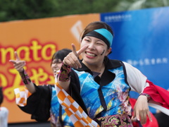 みやざきよさこい