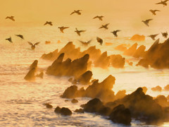海霧湧く