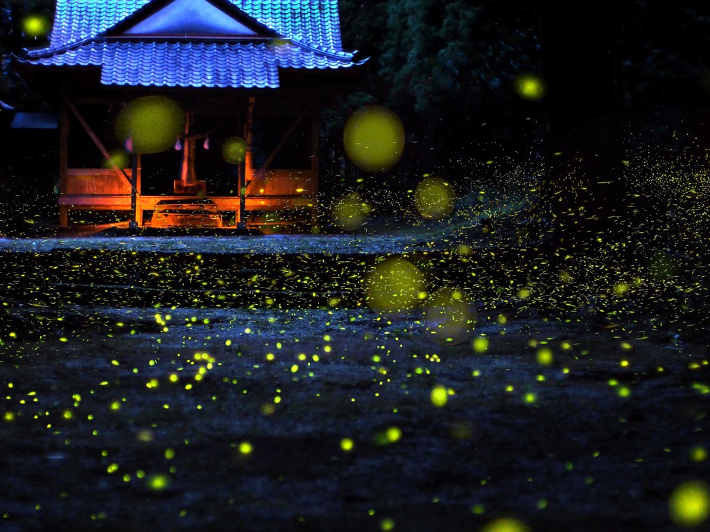 闇夜の舞台