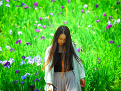 花ショウブ園