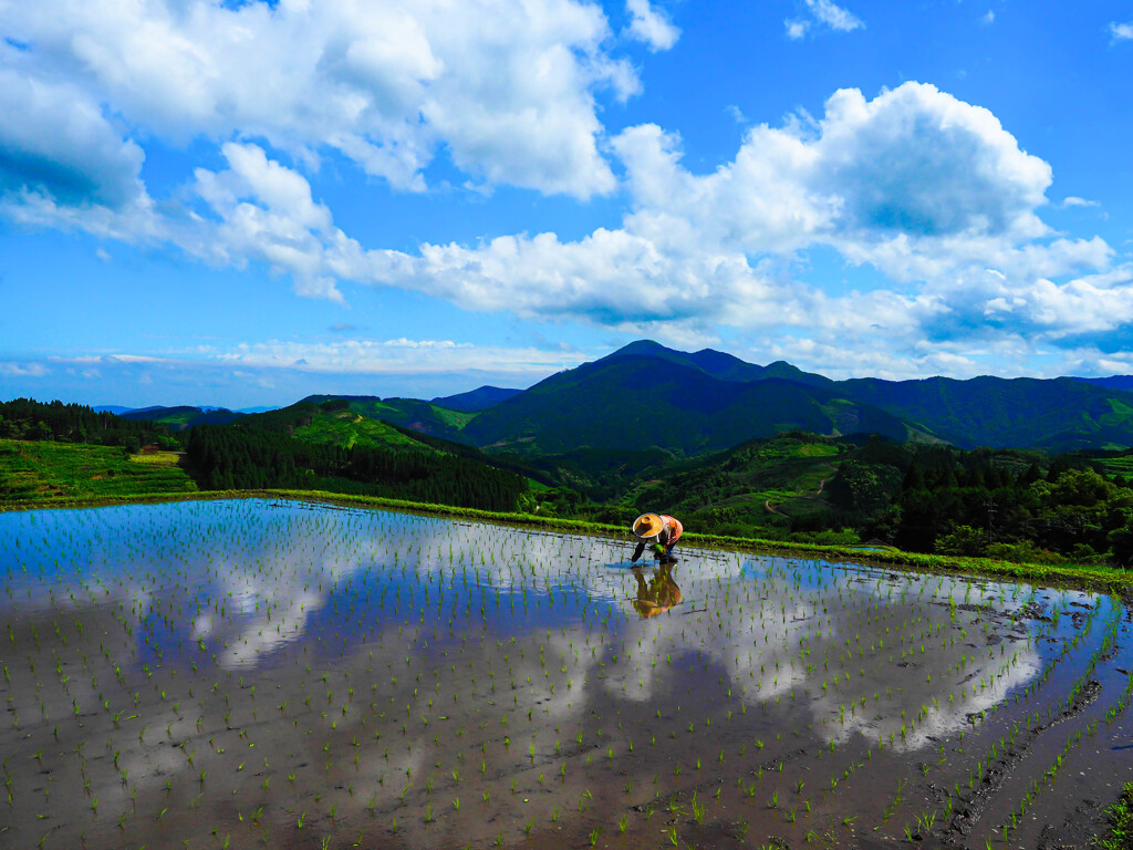 棚田の田植え