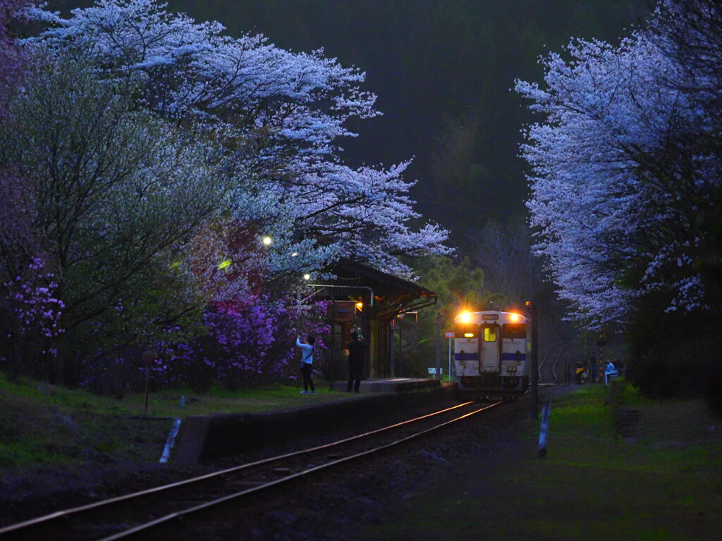 サクラ咲く里の駅