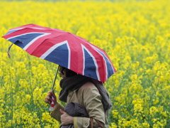 霧雨