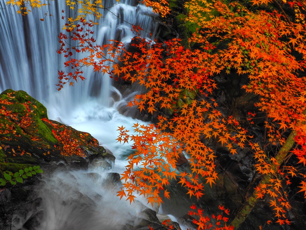 紅葉と流れ