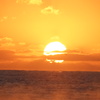 DSC06570