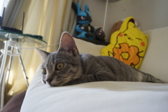 DSC07539