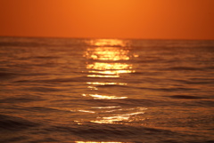 DSC03480