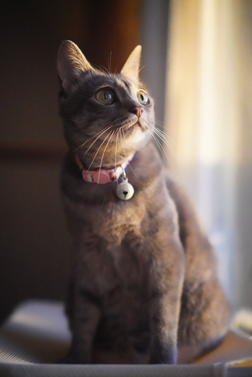 DSC06509