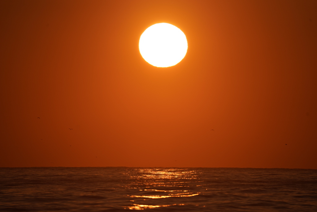 DSC03482