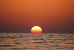 DSC03431