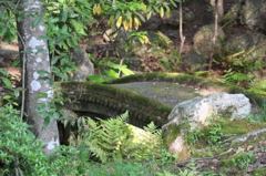 橋