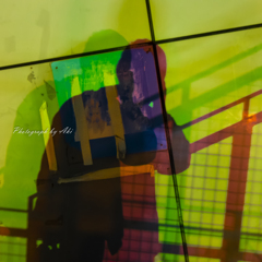 Shadow