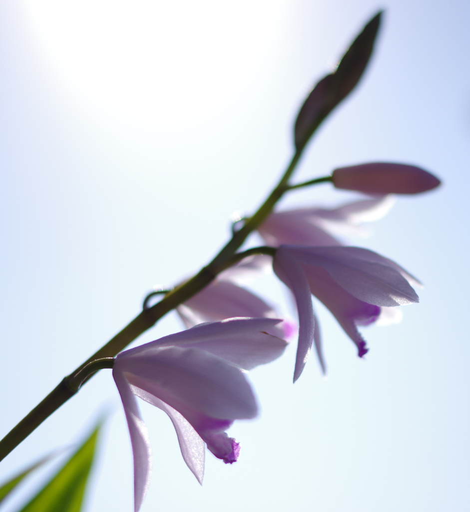 IMGP0284