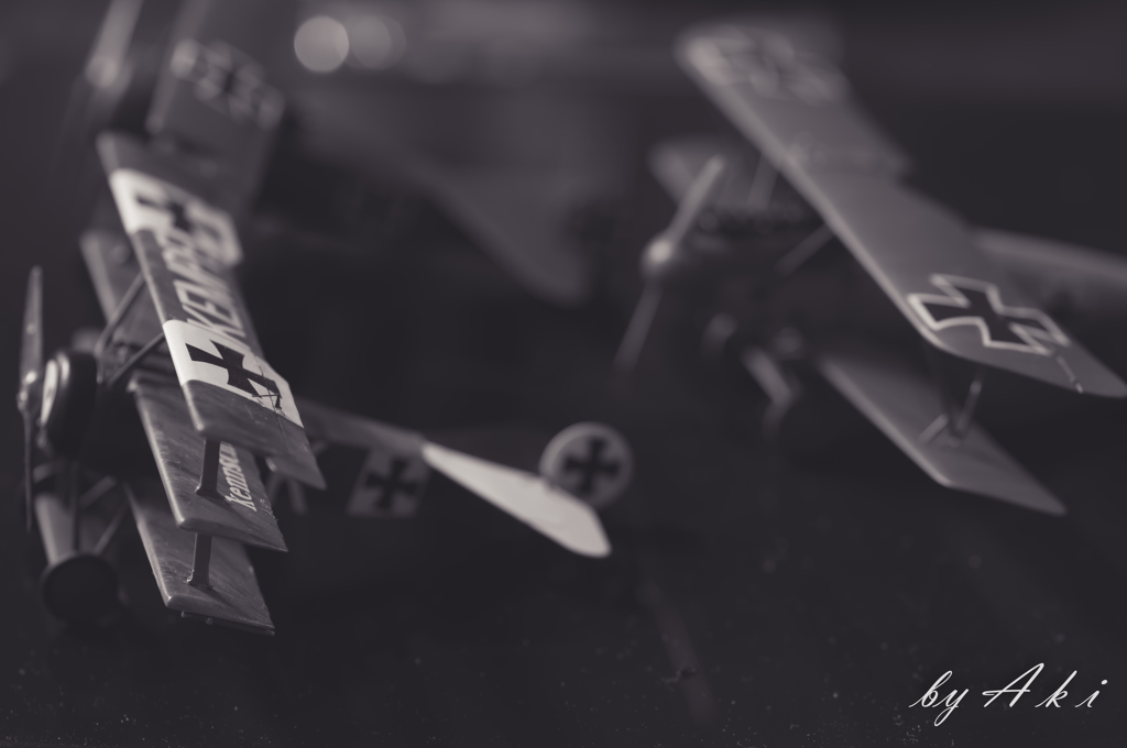Vintage Light Plane-1