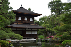 銀閣寺2