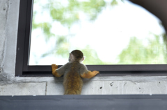 王子動物園3