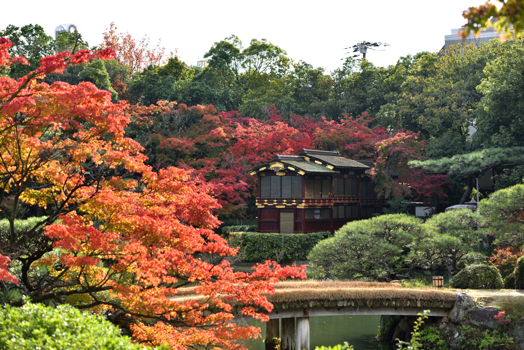 相楽園