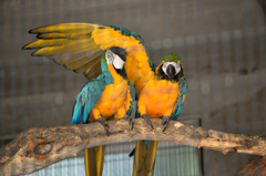 王子動物園1