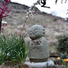 綾部山梅林1