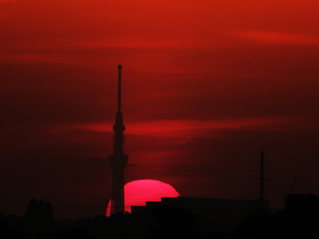 晩春の朝