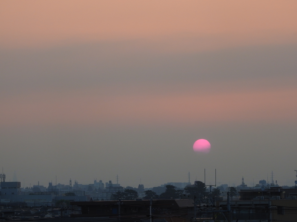 １５分遅れの朝日　８月２日