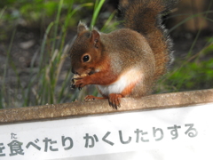 判り易い看板