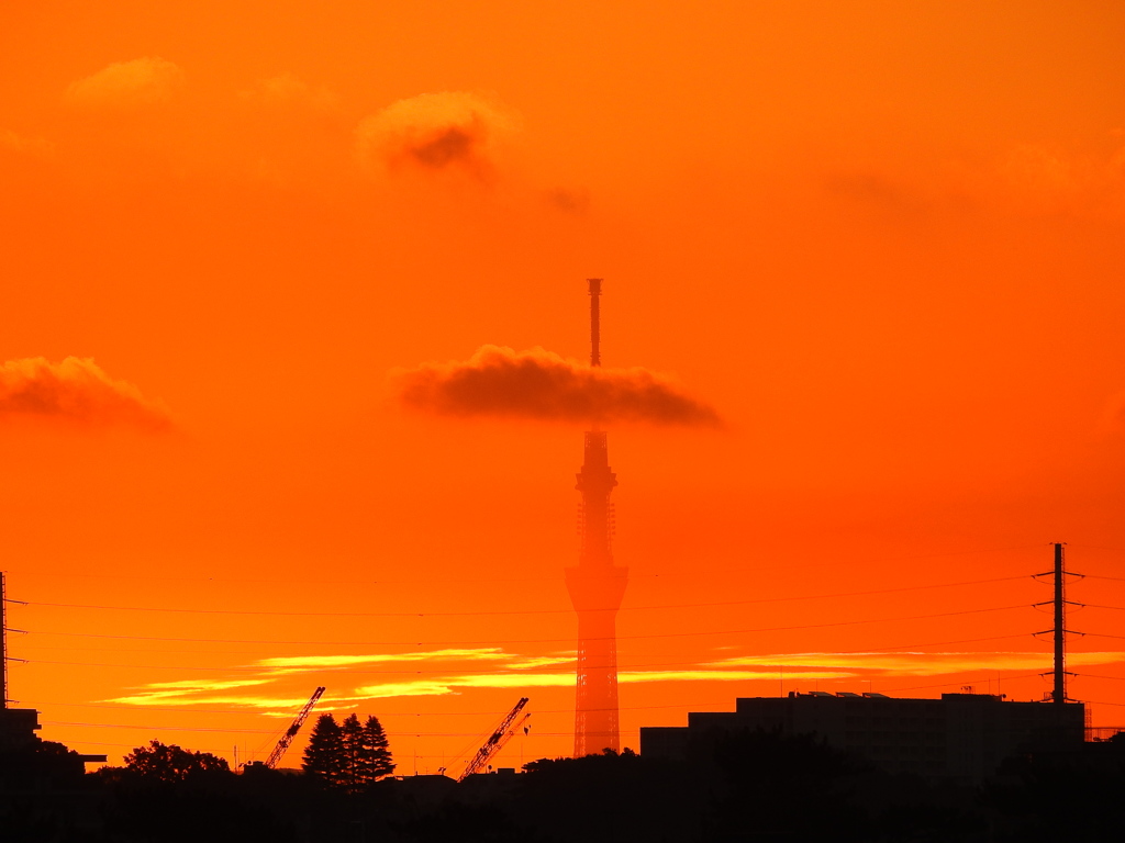 頭を雲の上に出し～♪
