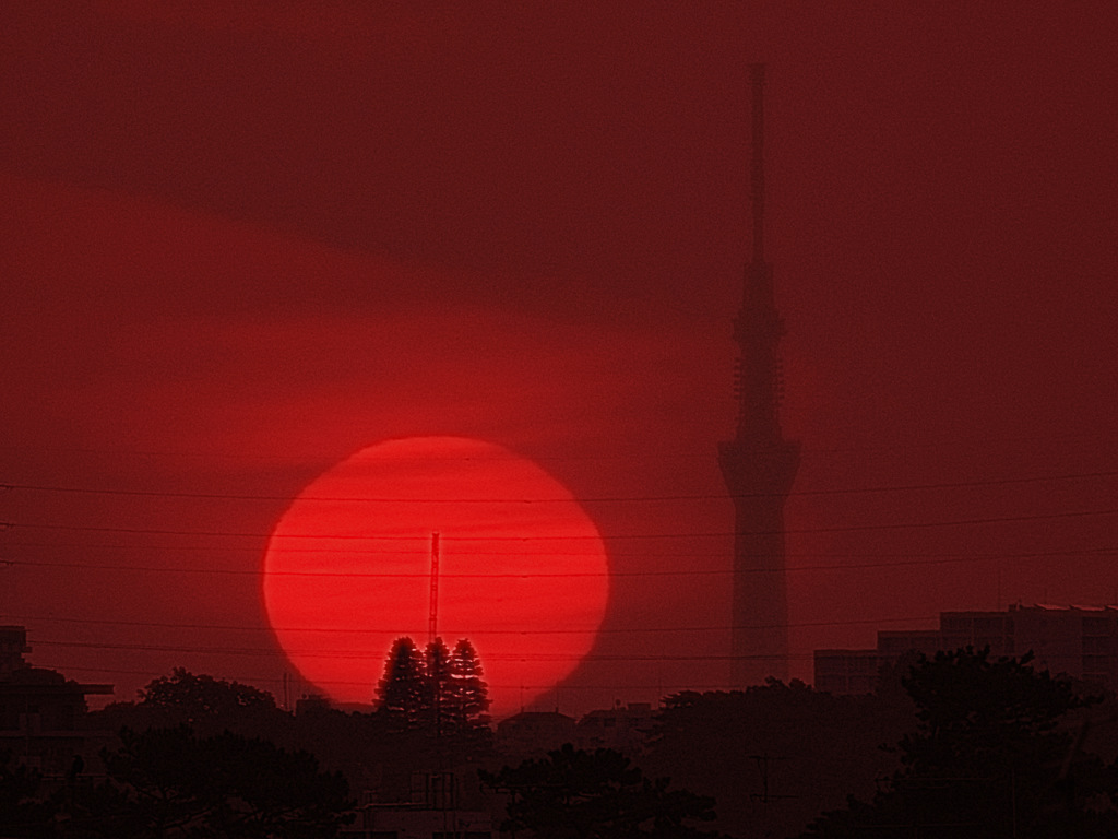 そこ、違うぞ！