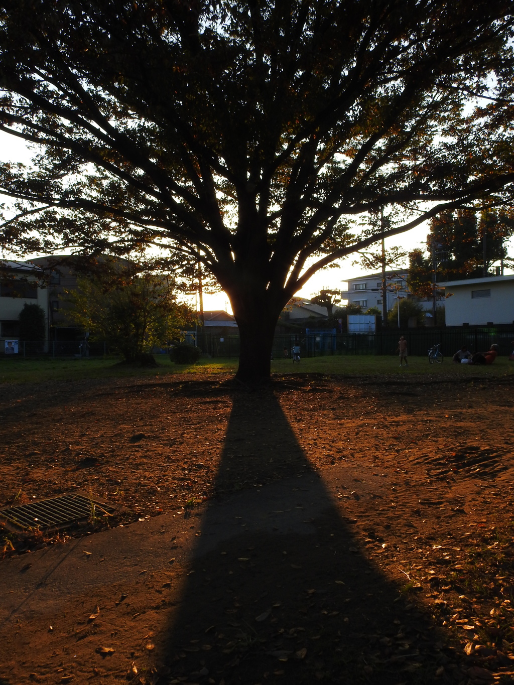 公園の夕暮れ