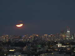 超高層ビルの背比べ