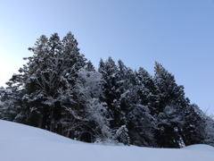 凍てついていた朝