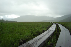 雨上がりの尾瀬