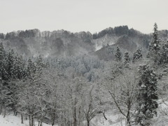 これはひきょうだ