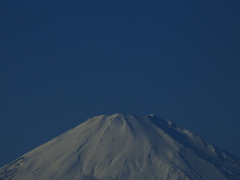 初夢に「大」富士をどうぞ