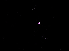 M42・オリオン大星雲