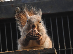 おぬしもワルよのう