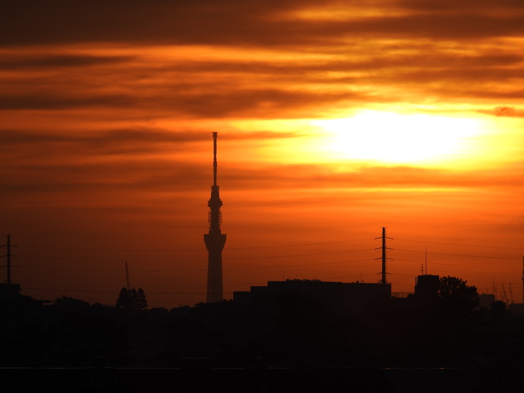 雲間の朝日