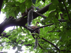 何が釣れるのかな？