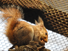 たまにはお尻から