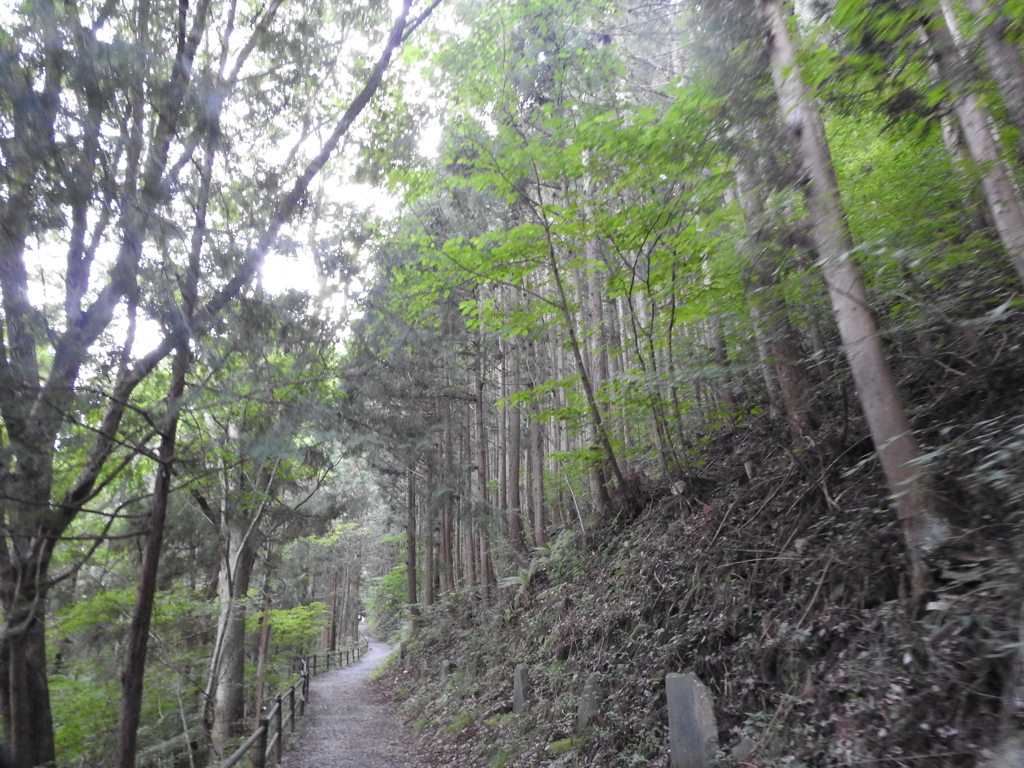 こんなに登るの？