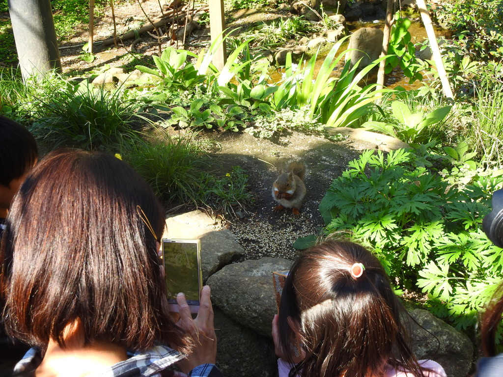 可愛い子にメチャ弱い