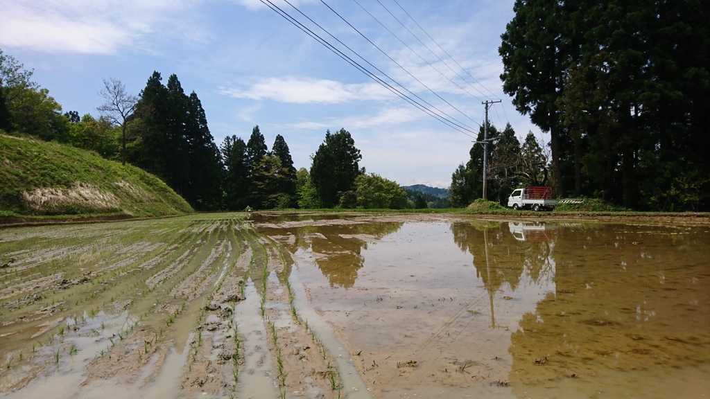 生涯現役