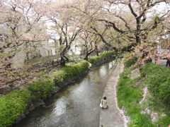 春を撮る