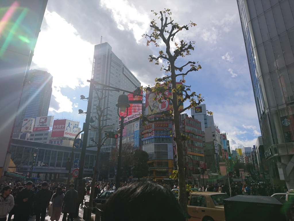谷より峠が好き