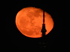 月が地球に近づく時