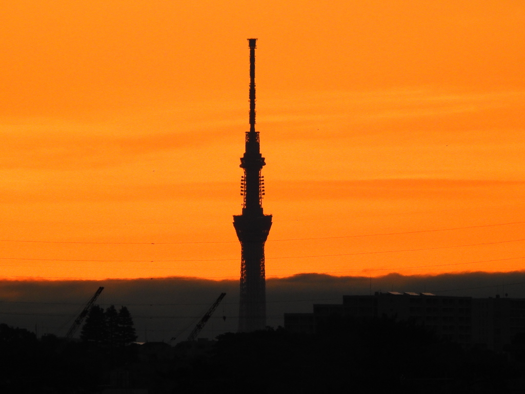 夜明け前のスカイツリー